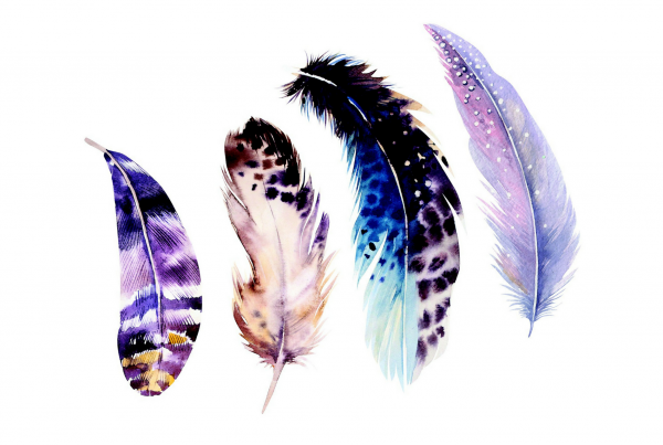 feathers